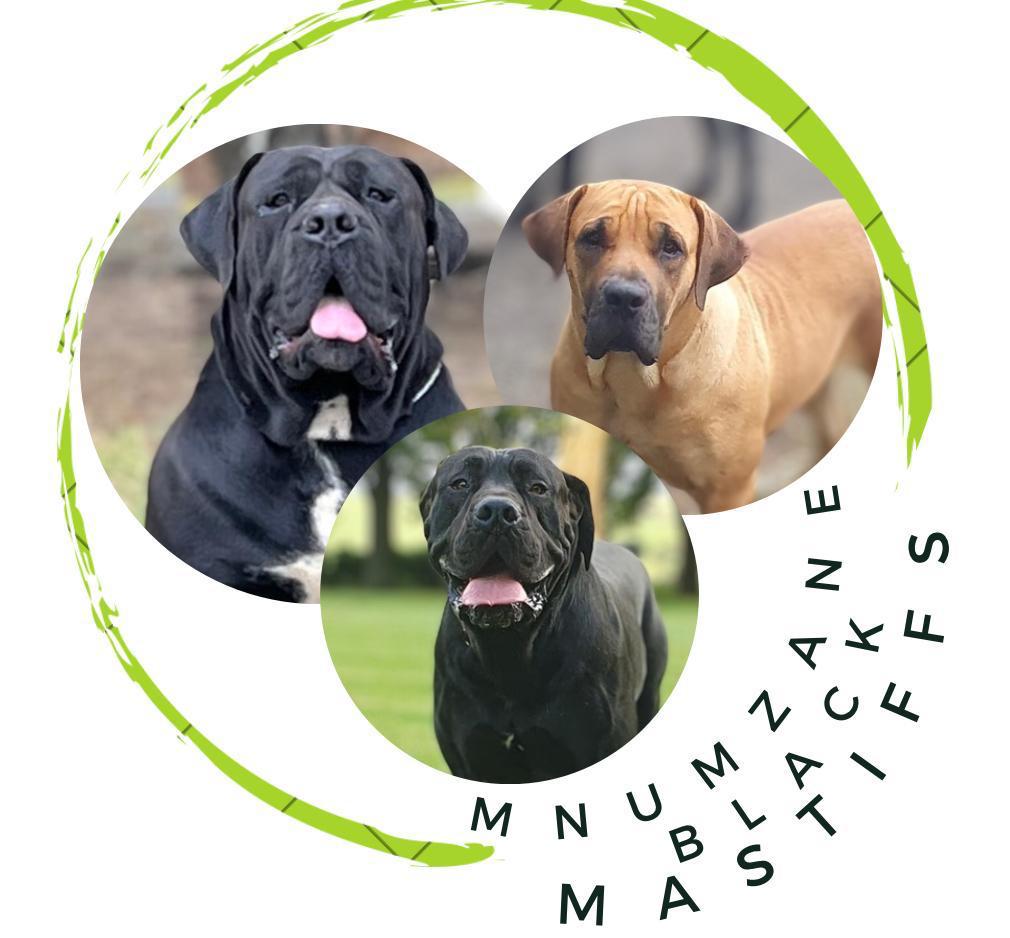 Mnumzane Kennel